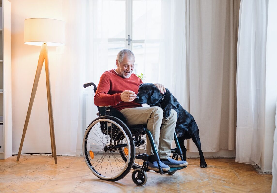 A disabled senior man in wheelchair indoors playing with a pet dog at home.
