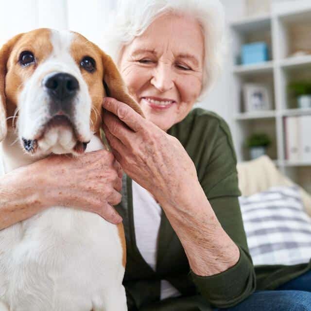 Portrait of happy senior woman lovingly hugging pet dog and smiling while enjoying weekend at home sitting on comfortable couch in modern apartment with her furry friend.