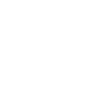 Icons_surveys_active